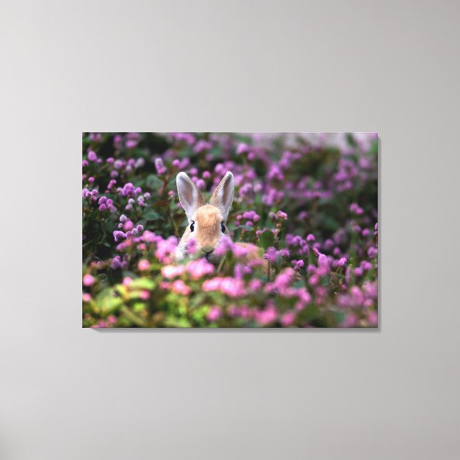 Rabbit farm canvas print (Front)
