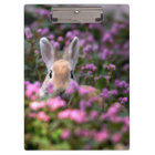Rabbit farm