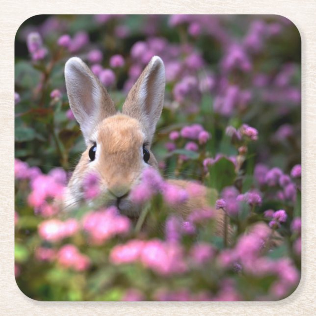 Rabbit farm square paper coaster (Front)