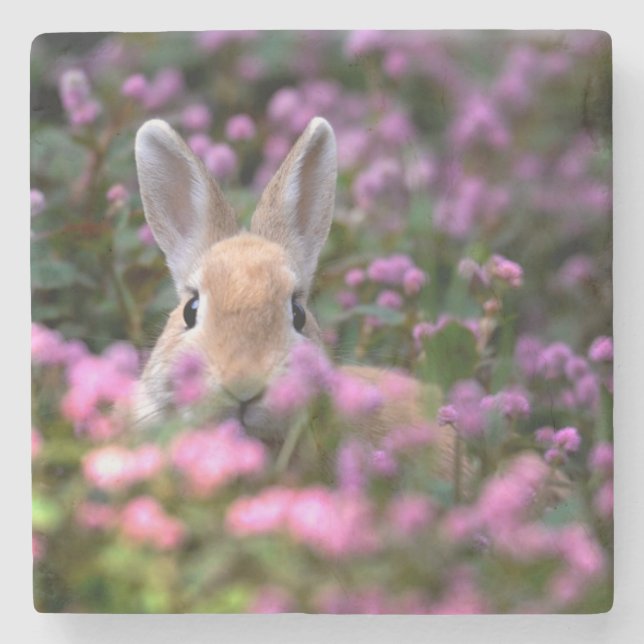 Rabbit farm stone coaster (Front)