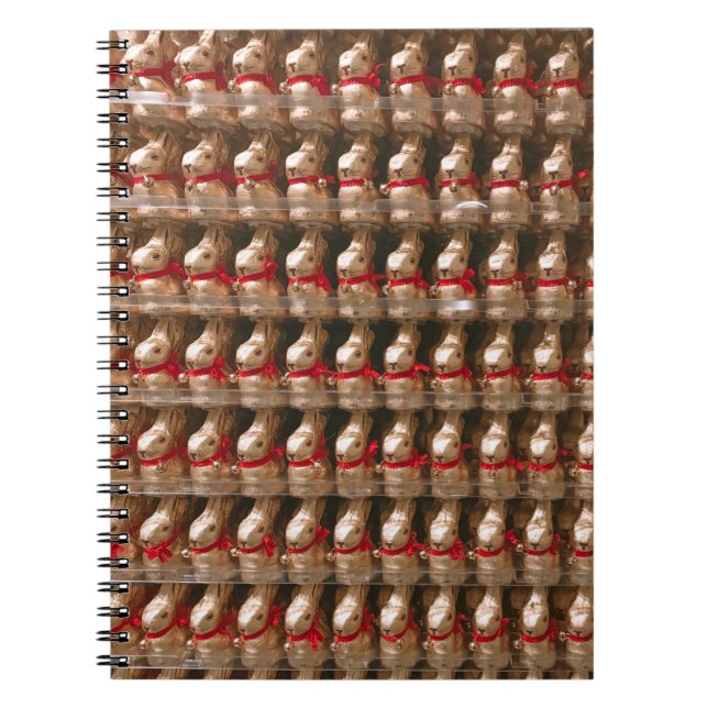 Rabbit figurine lot notebook (Front)