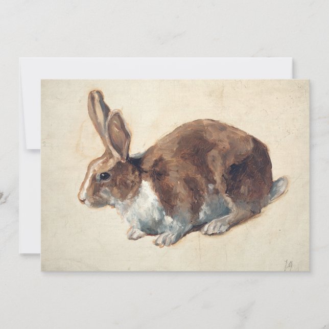 Rabbit | Floris Verster (Front)