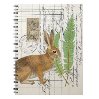 Rabbit français avec Carnet de la revue Spiral Fer