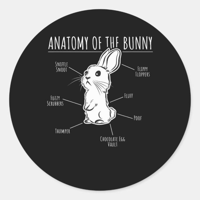 Rabbit Gift |Anatomy Of Bunny Cute Rabbit Pet Love Classic Round Sticker (Front)