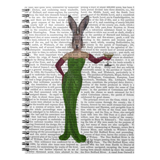 Rabbit Green Dress Notebook (Front)