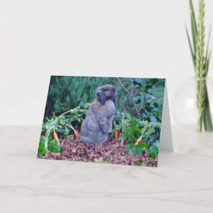 Rabbit Holiday Card