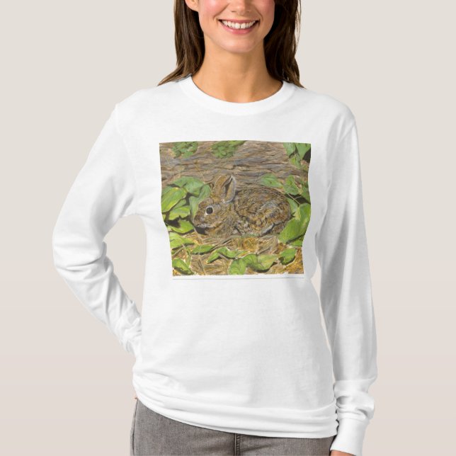 Rabbit Hoodie T-Shirt (Front)