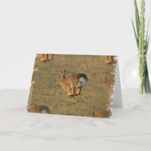 Rabbit Hopping Greeting Card