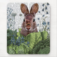 Rabbit in a Cabbage Patch