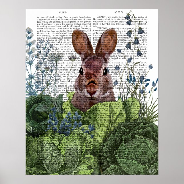 Rabbit in a Cabbage Patch Poster (Front)