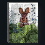 Rabbit in a Cabbage Patch Wooden Box Sign<br><div class="desc">Cabbage Patch Rabbit 6 by Fab Funky.  | 192180D</div>