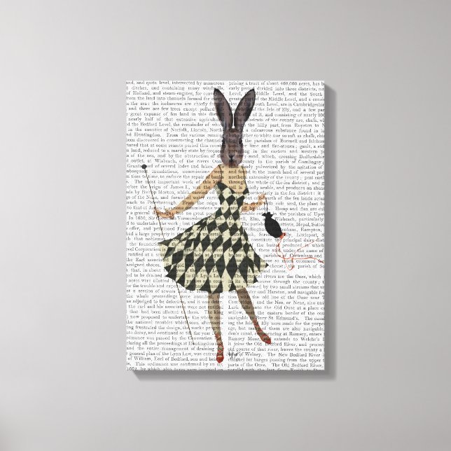 Rabbit in Black White Dress Canvas Print (Front)