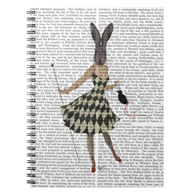 Rabbit in Black White Dress Notebook (Front)