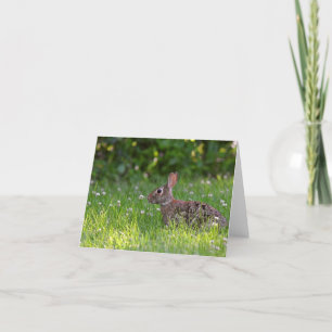 Rabbit in clover blank inside notecard.  thank you card