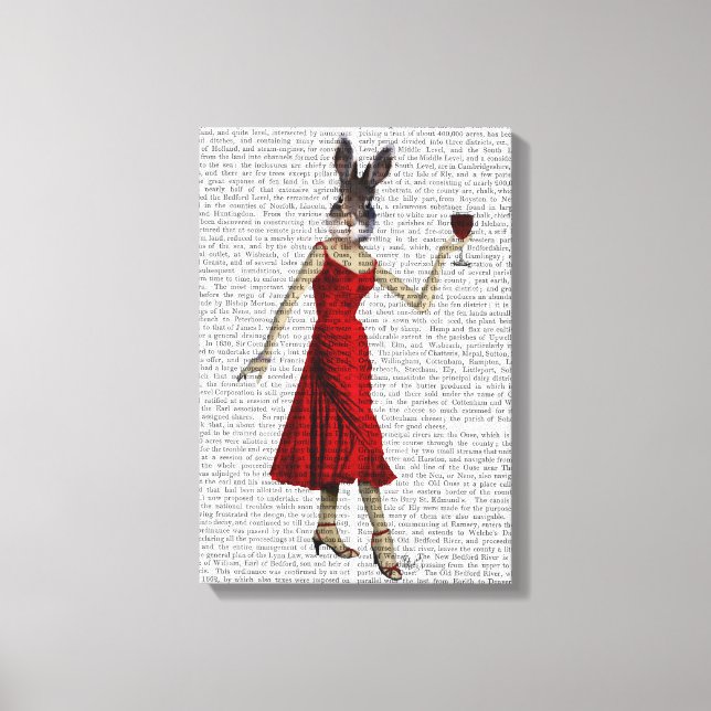 Rabbit in Red Dress Canvas Print (Front)