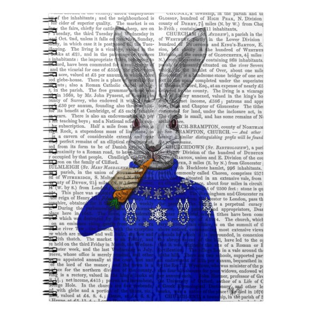 Rabbit In Sweater 2 Notebook (Front)