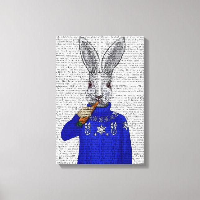 Rabbit In Sweater Canvas Print (Front)