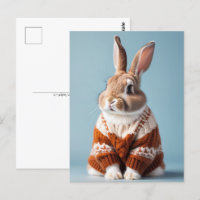 Rabbit in sweater, Postcrossing Postcard