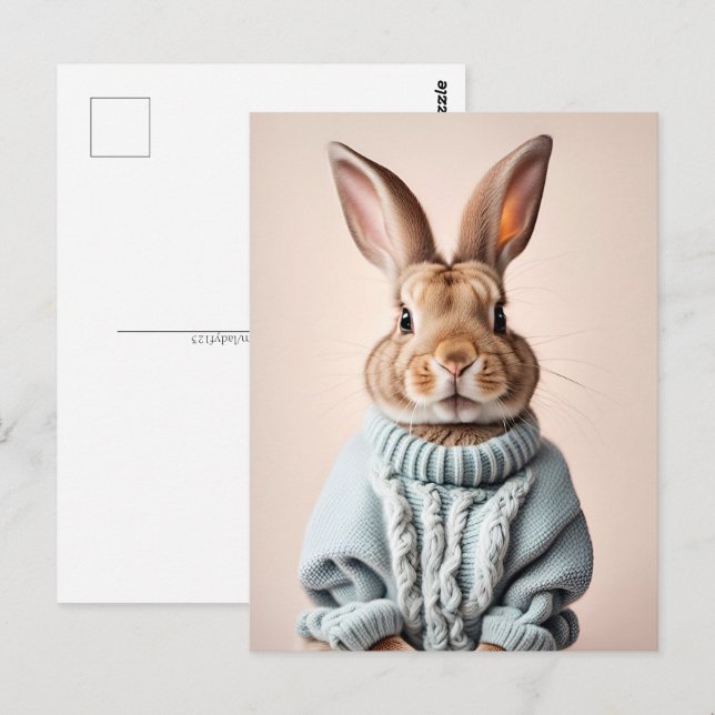Rabbit in sweater, Postcrossing Postcard (Front/Back)
