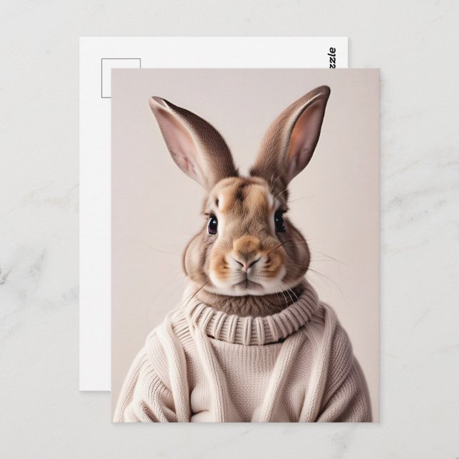 Rabbit in sweater, Postcrossing Postcard (Front/Back)