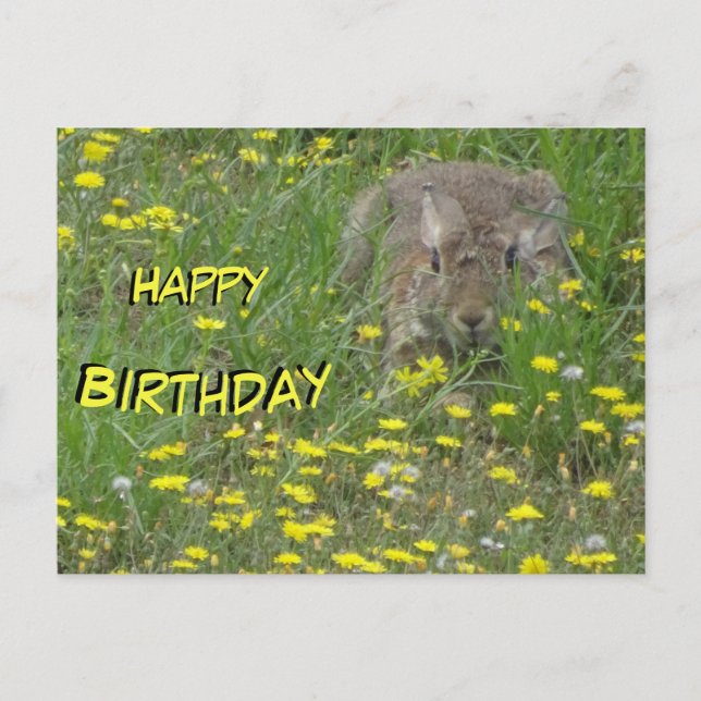 Rabbit in Wildflowers Field Birthday Postcard (Front)