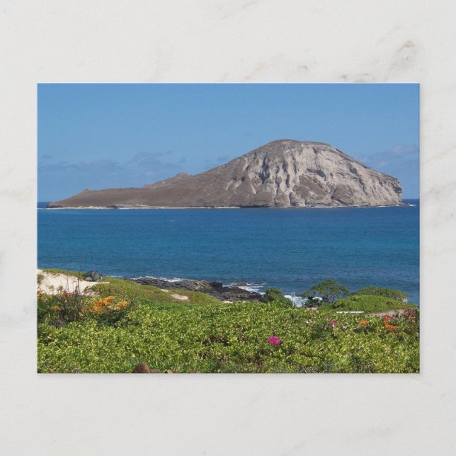 Rabbit Island Oahu Hawaii Postcard (Front)