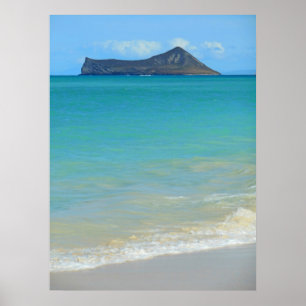 Rabbit Island Poster