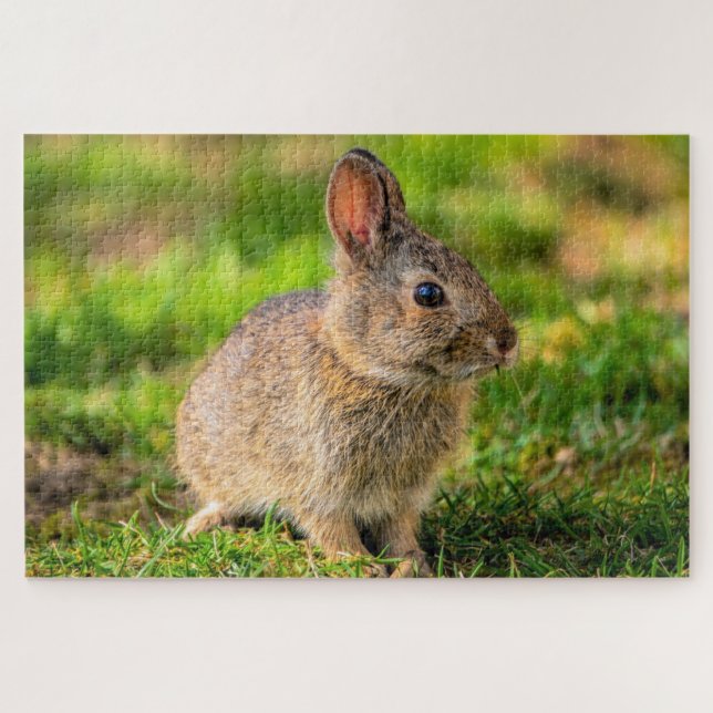 Rabbit Jigsaw Puzzle (Horizontal)