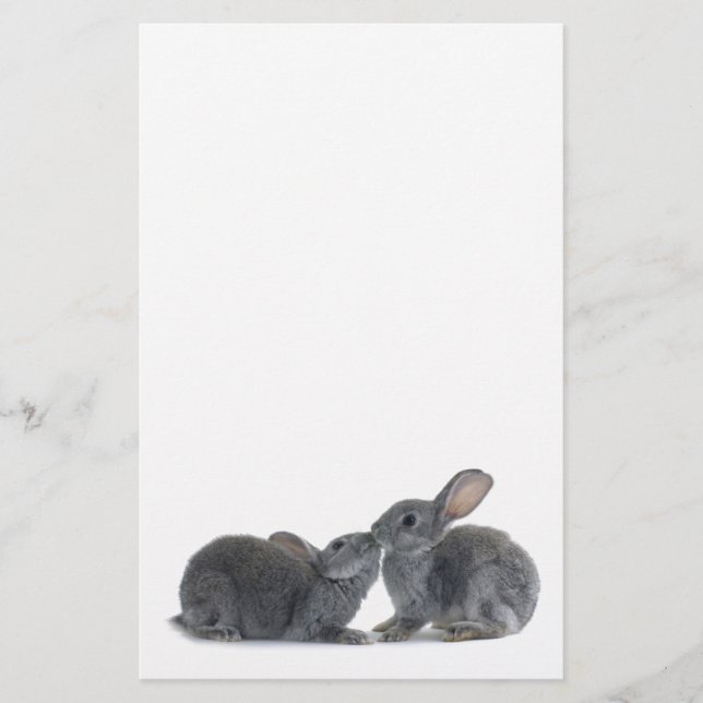 Rabbit Kiss Stationery (Front)