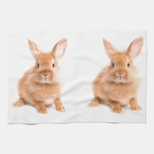 Rabbit Kitchen Towel