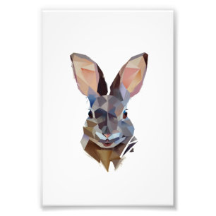 Rabbit Lovers Art Drawing Bunny Gift Photo Print