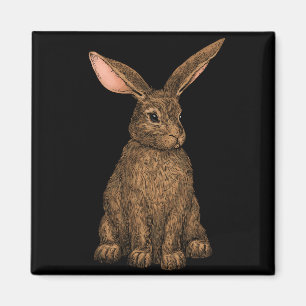 Rabbit Magnet