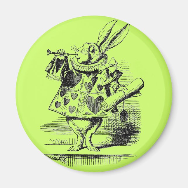 Rabbit Magnet (Front)