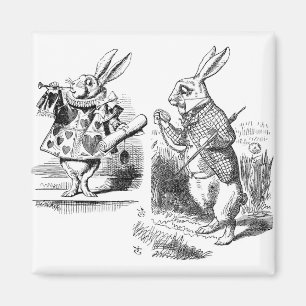Rabbit Magnet