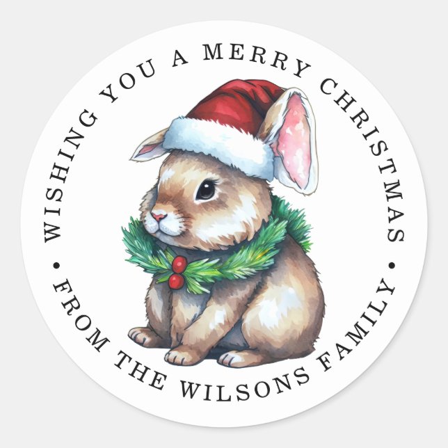 Rabbit merry christmas cute classic round sticker (Front)