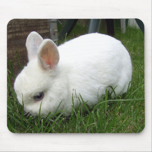 rabbit mouse pad