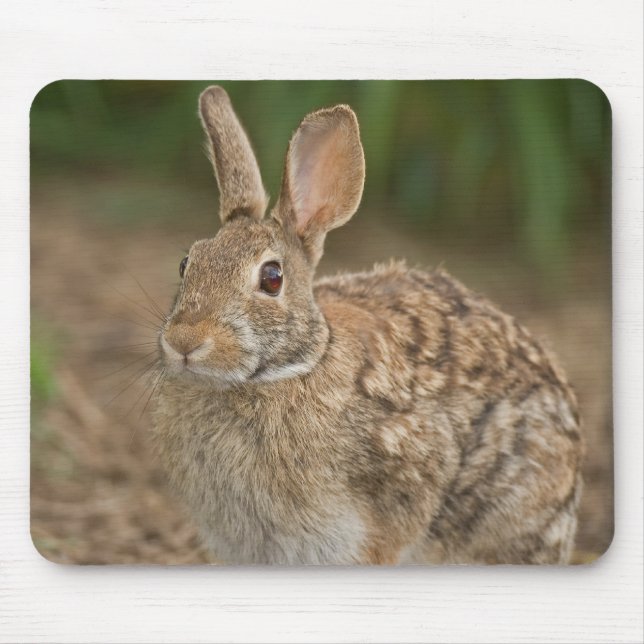 Rabbit mousepad (Front)