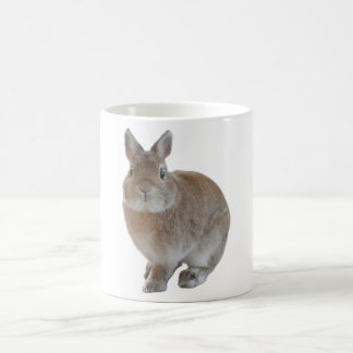 rabbit mug