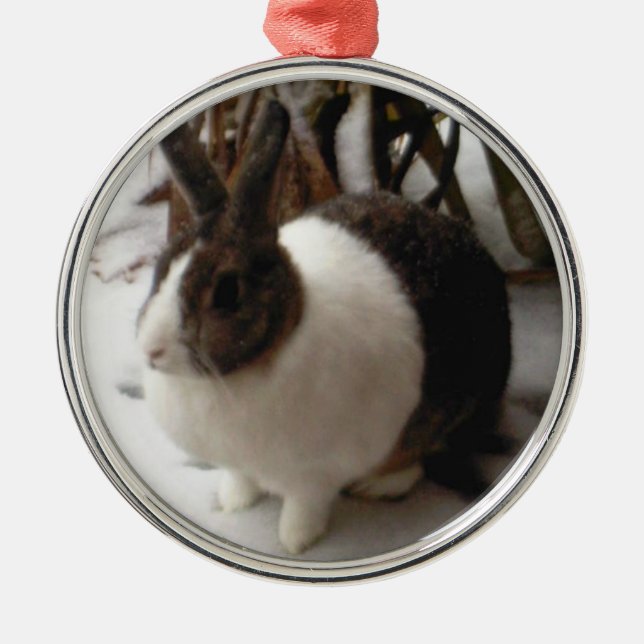 Rabbit ornament (Front)