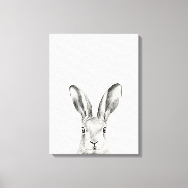 Rabbit Pencil Drawing Canvas Print (Front)