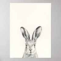 Rabbit Pencil Drawing