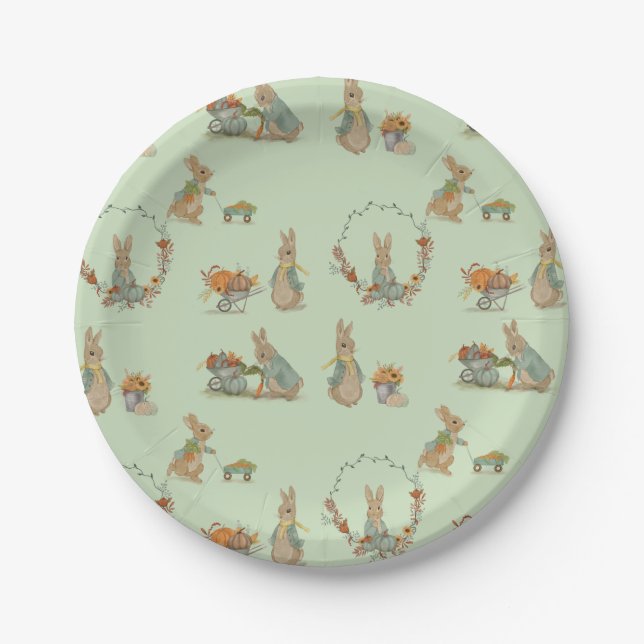 Rabbit Peter autumn party Paper Plates (Front)