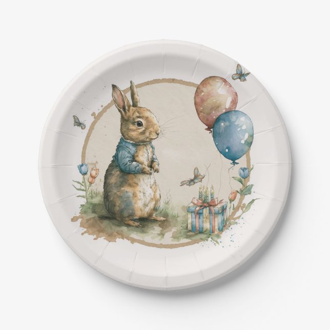Rabbit Peter party Paper Plates (Front)