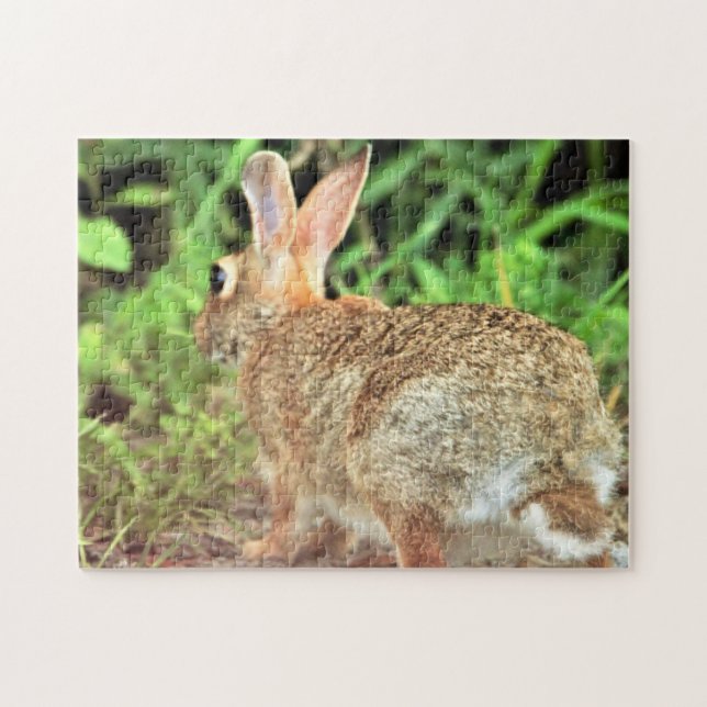 Rabbit Photo Jigsaw Puzzle (Horizontal)
