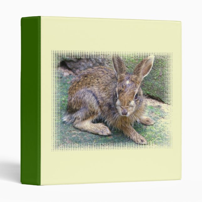 Rabbit Picture Binder (Front/Spine)