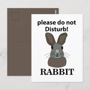Rabbit Please Do Not Disturb Funny Rabbit Postcard