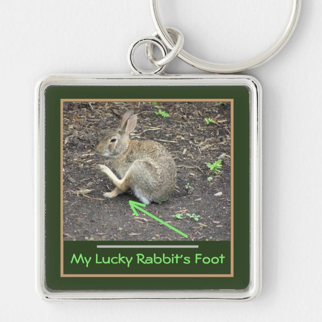 RABBIT POISED TO SCRATCH EAR/MY LUCKY RABBIT'S FOO KEYCHAIN (Front)