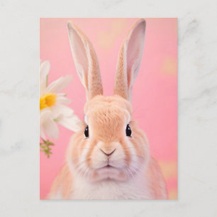 Rabbit Portrait 088 Postcard