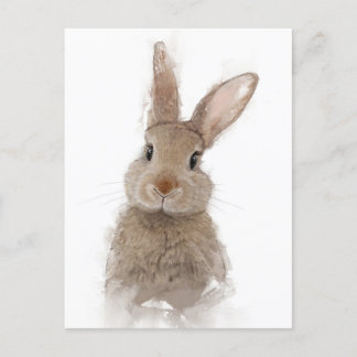 Rabbit Portrait 40 Postcard