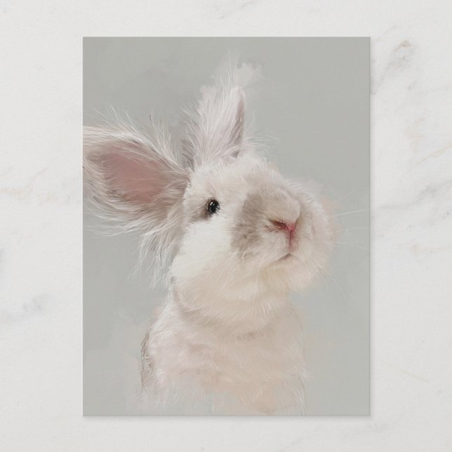 Rabbit Portrait No.35 Postcard (Front)